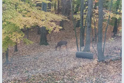 9310 S Annie Lane, Newaygo, MI 49337 - Photo 58