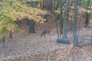 9310 S Annie Ln, Newaygo, MI 49337 - Photo 58