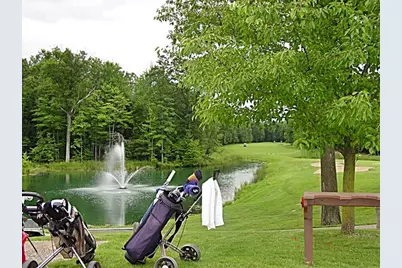 6804 Maple Court, Canadian Lakes, MI 49346 - Photo 10