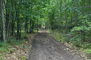 V/L Dexter Rd, Wellston, MI 49689 - Photo 1