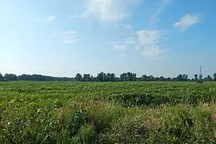 1611 E Hyde Rd, Saint Johns, MI 48879 - Photo 4