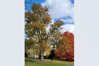 6475 Olive Branch Road, Galien, MI 49113 - Photo 52