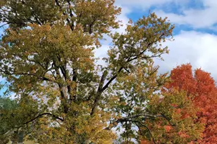 6475 Olive Branch Rd, Galien, MI 49113 - Photo 52