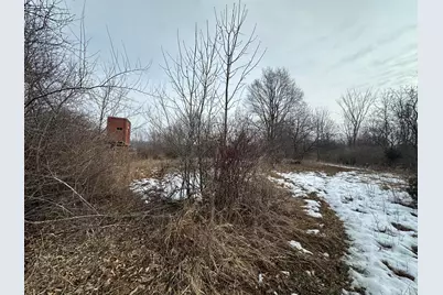 7231 Onsted Highway, Onsted, MI 49265 - Photo 10