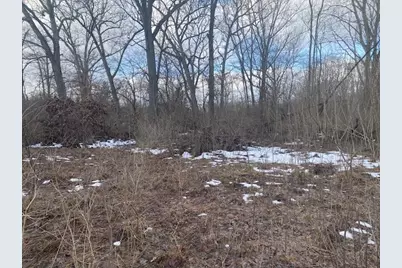 2963 Detroit Road, Niles, MI 49120 - Photo 2