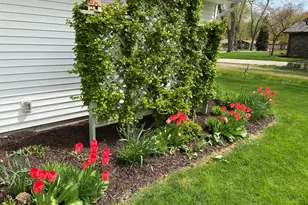 21687 Shiawassee Dr, Cassopolis, MI 49031 - Photo 18