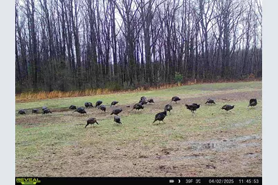 78720 County Road 376, Coloma, MI 49038 - Photo 76