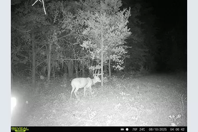 78720 County Road 376, Coloma, MI 49038 - Photo 72