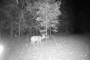 78720 Co Rd 376, Coloma, MI 49038 - Photo 72