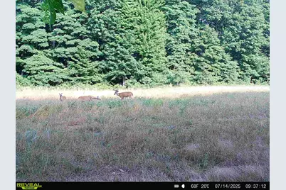 78720 County Road 376, Coloma, MI 49038 - Photo 66
