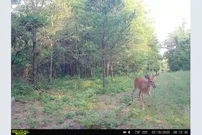 78720 County Road 376, Coloma, MI 49038 - Photo 64