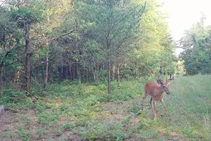 78720 Co Rd 376, Coloma, MI 49038 - Photo 64