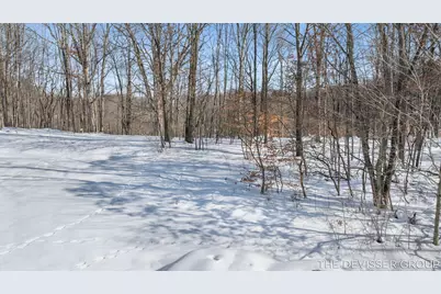 A Lot(A) Rolling Ridge Road, Allegan, MI 49010 - Photo 22