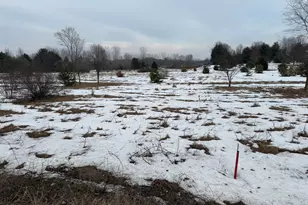 15680 Tyrone Ave, Kent City, MI 49330 - Photo 1