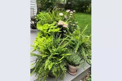 3131 Howlett Drive SE, Ada, MI 49301 - Photo 30