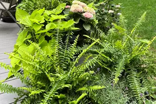 3131 Howlett Dr SE, Ada, MI 49301 - Photo 30