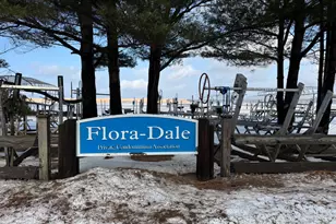 447 N Northern Light Rd, Mears, MI 49436 - Photo 42