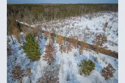 2043 N Peacock Trail, Irons, MI 49644 - Photo 8