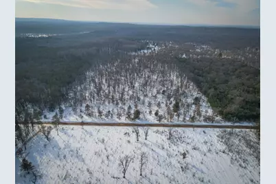 2043 N Peacock Trail, Irons, MI 49644 - Photo 2