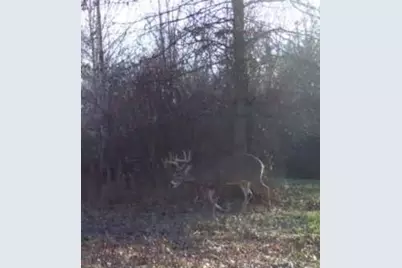 V/L 52nd Street, Bangor, MI 49013 - Photo 14