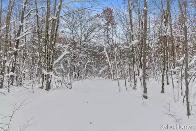 1072 N Bingham Avenue, White Cloud, MI 49349 - Photo 48