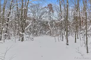1072 N Bingham Ave, White Cloud, MI 49349 - Photo 48