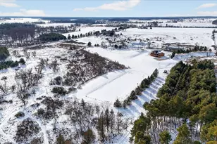 7222 Beahan Rd, Hubbardston, MI 48845 - Photo 76