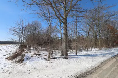 [Address not provided], Greenville, MI 48838 - Photo 4