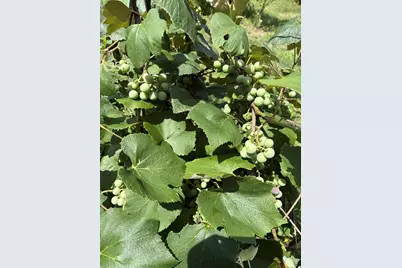 7160 N 12th Street, Kalamazoo, MI 49009 - Photo 42