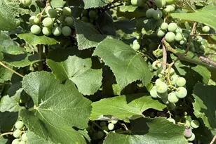 7160 N 12th St, Kalamazoo, MI 49009 - Photo 42