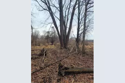 Coohon Road, Colon, MI 49040 - Photo 12