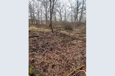 Coohon Road, Colon, MI 49040 - Photo 18