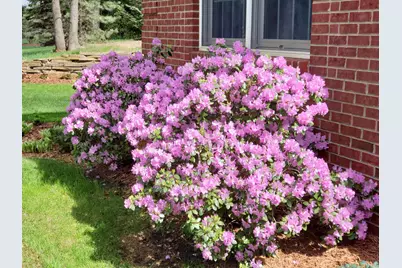 6544 Egypt Ridge Road NE, Rockford, MI 49341 - Photo 94