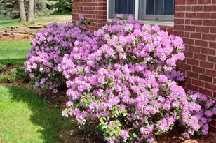 6544 Egypt Ridge Rd NE, Rockford, MI 49341 - Photo 94