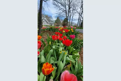 6544 Egypt Ridge Road NE, Rockford, MI 49341 - Photo 80