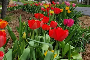 6544 Egypt Ridge Rd NE, Rockford, MI 49341 - Photo 80