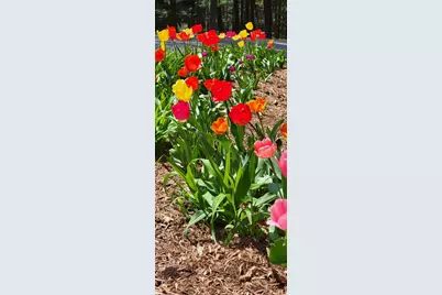 6544 Egypt Ridge Road NE, Rockford, MI 49341 - Photo 88