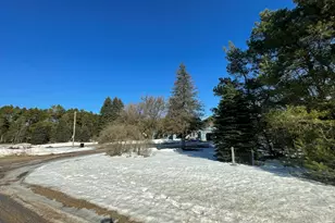 3008 N Amber Rd, Scottville, MI 49454 - Photo 16