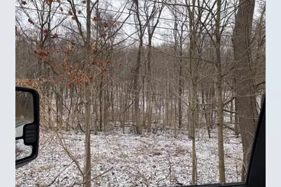 20 Acres Wildwood Road, Delton, MI 49046 - Photo 12