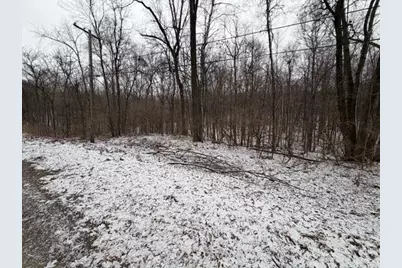 20 Acres Wildwood Road, Delton, MI 49046 - Photo 10