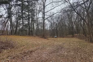 3990 Wellman Rd, Parma, MI 49269 - Photo 4