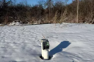 15734 Hall Rd, Bailey, MI 49303 - Photo 4