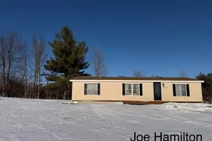 15734 Hall Rd, Bailey, MI 49303 - Photo 1