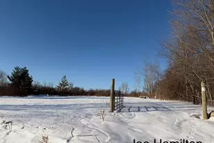 15734 Hall Rd, Bailey, MI 49303 - Photo 24