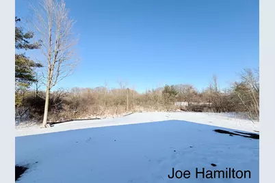 15734 Hall Road, Bailey, MI 49303 - Photo 8