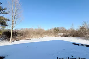 15734 Hall Rd, Bailey, MI 49303 - Photo 10