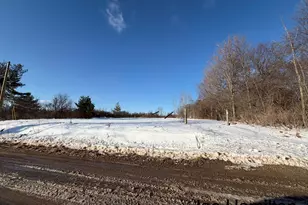 15734 Hall Rd, Bailey, MI 49303 - Photo 6