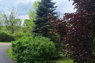 5211 Long Lake Rd, Reading, MI 49274 - Photo 84