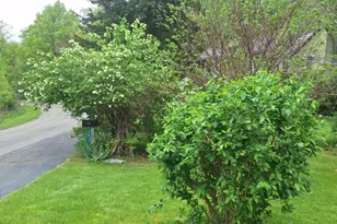 5211 Long Lake Rd, Reading, MI 49274 - Photo 90