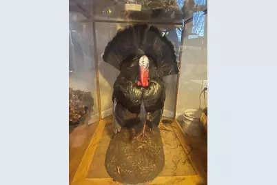 1601 W Territorial Road, Camden, MI 49232 - Photo 34